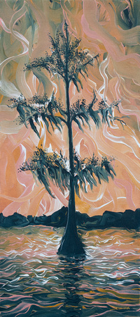 Cypress at Sunset